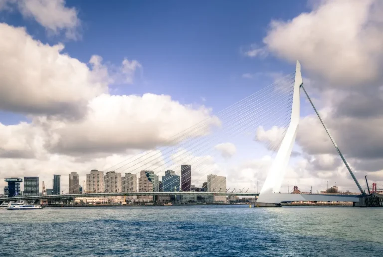 Website laten maken Rotterdam